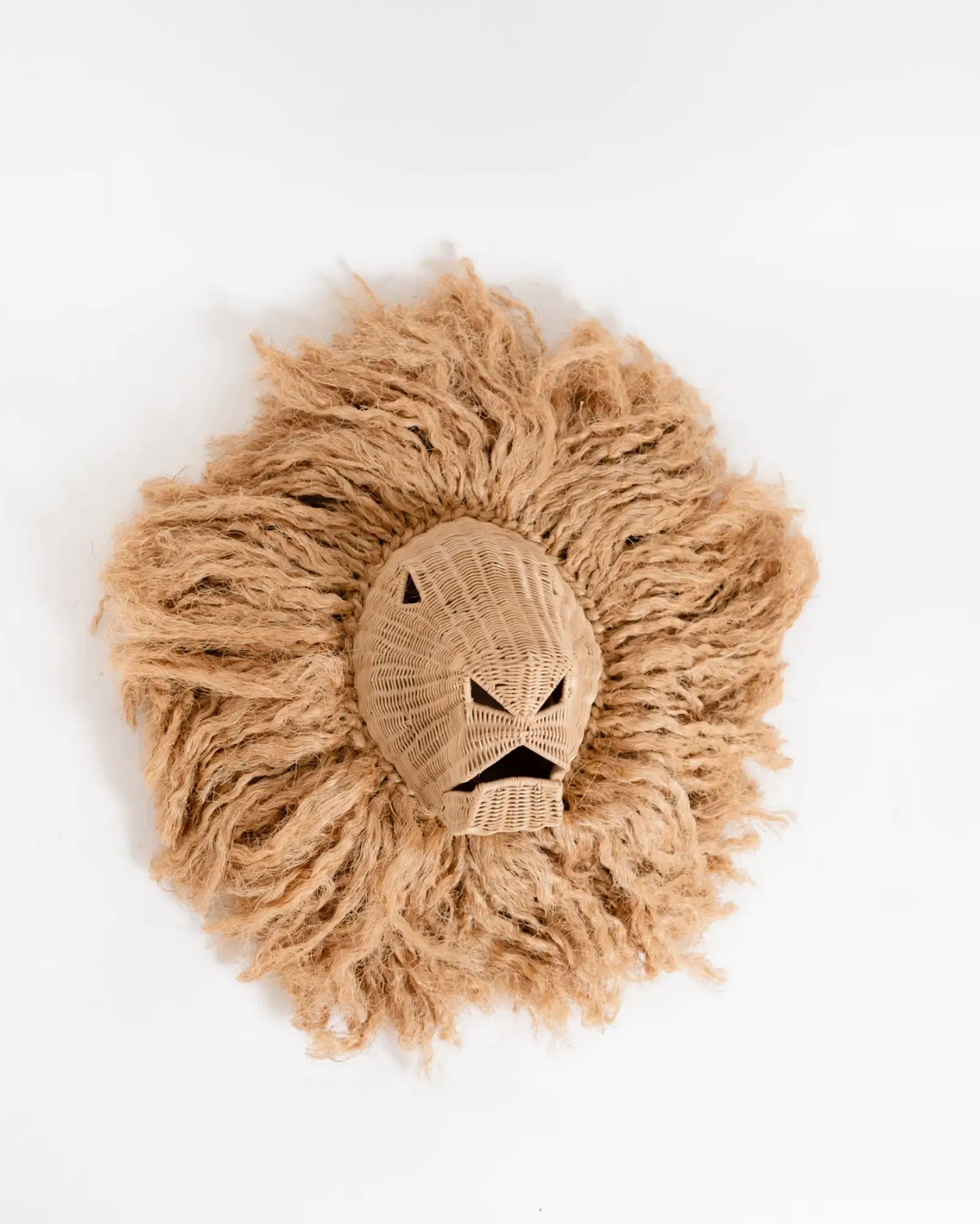 Leo the Handsome Lion Wall Decor